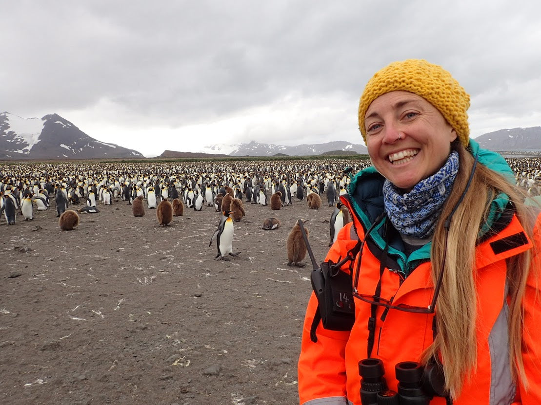 Top 3 Tips To Be More Sustainable From A Tour Guide From Antarctica ...